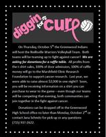 Volleyball